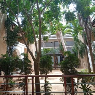 How To Become Confident- An In Depth Guide𓆝 𓆟 𓆞 𓆝⭒˚｡⋆